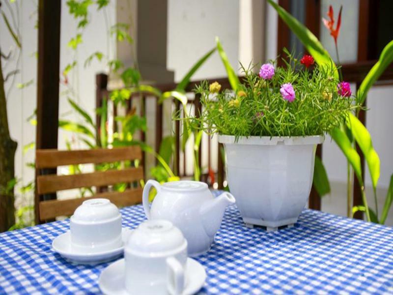 Mama'S House Hoi An Homestay Εξωτερικό φωτογραφία